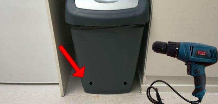 Featured image of post Çöp Kovanızın Altına İki Delik Açın
