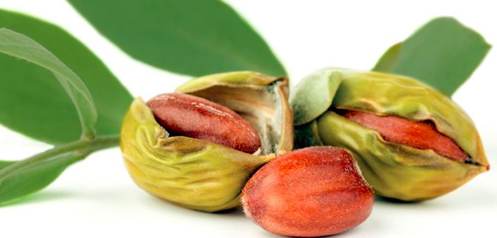 Featured image of post Jojoba Yağı ile Ev Yapımı Saç Kremi