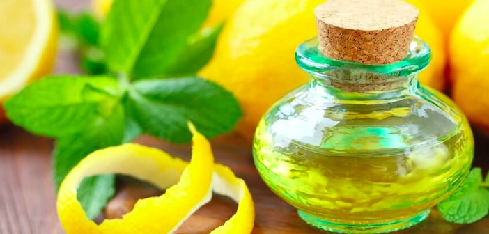 Featured image of post Limon Özü Yerine Ne Kullanılabilir