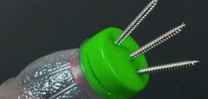 Featured image of post Plastik Şişelerinizi Bir Daha Asla Atmayacaksınız!