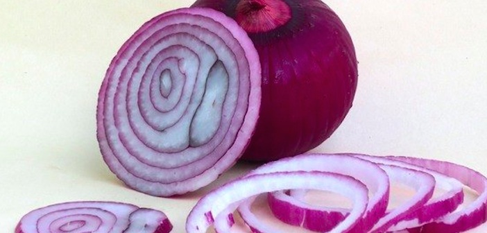 Featured image of post Her Gün Soğan Yiyorsanız Vücudunuzda Olanlar