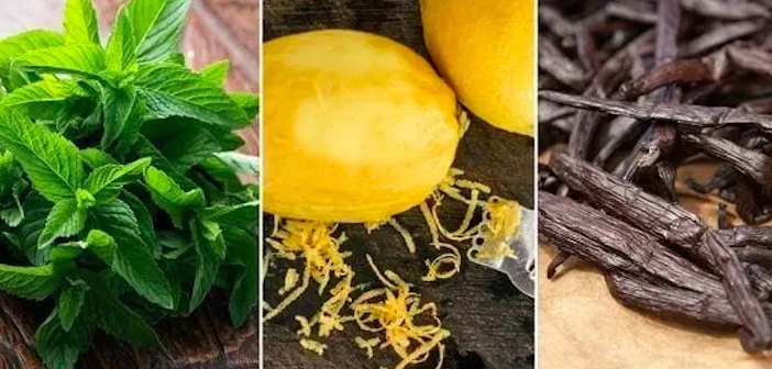 Evde Kolayca Yapabileceğiniz 7 Aromalı Ekstrakt