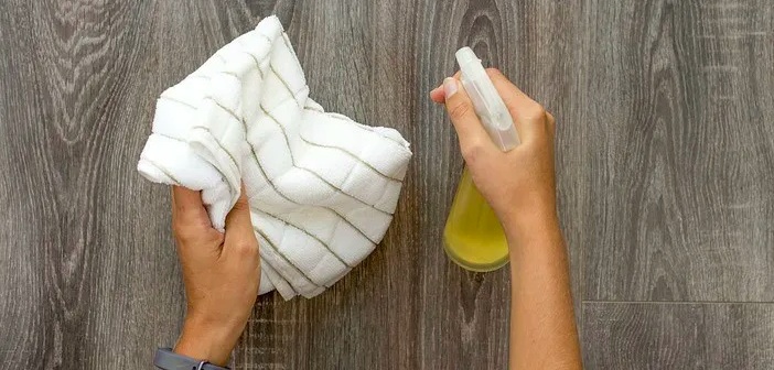 Featured image of post Ev Yapımı Limonlu Toz Alma Spreyi