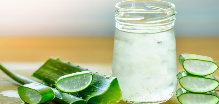 Featured image of post Aloe Vera Suyunun Saç İçin 6 Faydası