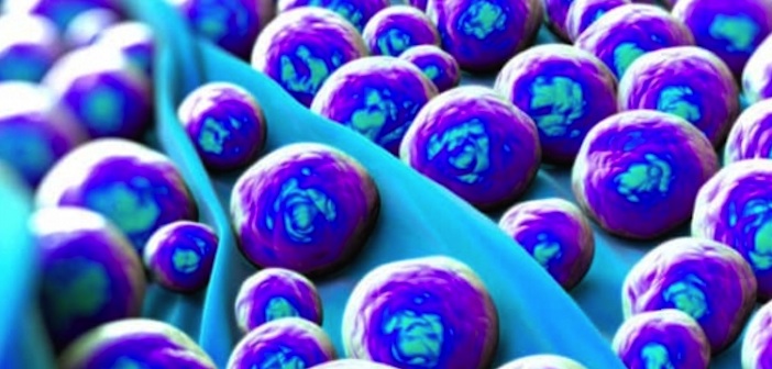Featured image of post Hastane Enfeksiyonu (MRSA) Nedir?