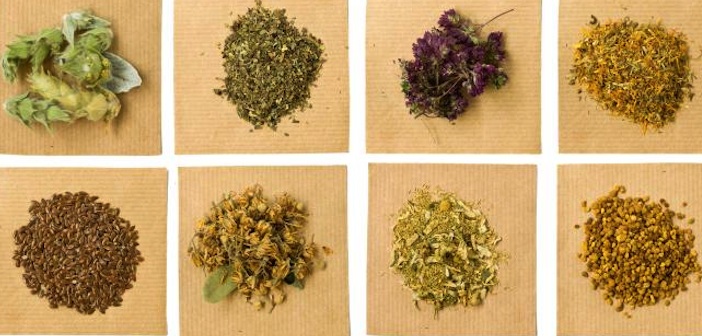 Sağlık İçin Temel Şifalı Bitkiler