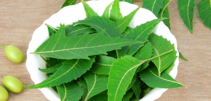 Neem Tozu Nasıl Yapılır?